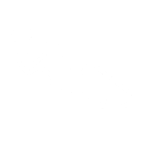Aragon